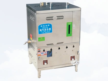 蒸汽发生器高温款